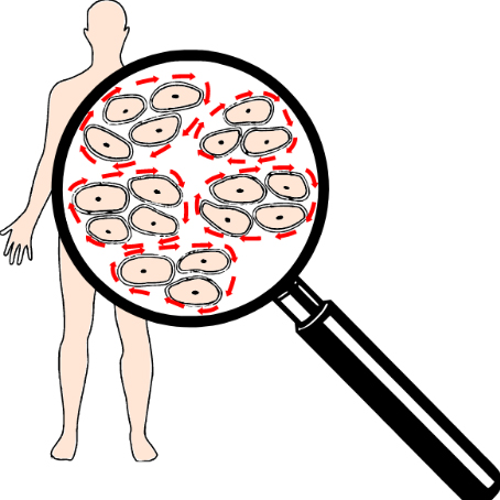 Unterbrochene Zellkommunikation