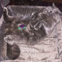 angenehme Frequenzanwendungen