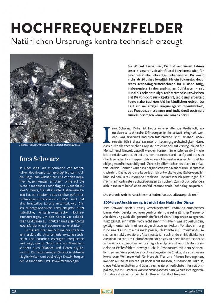 Interview mit der Zeitschrift "Die Wurzel" 2025 deutsch